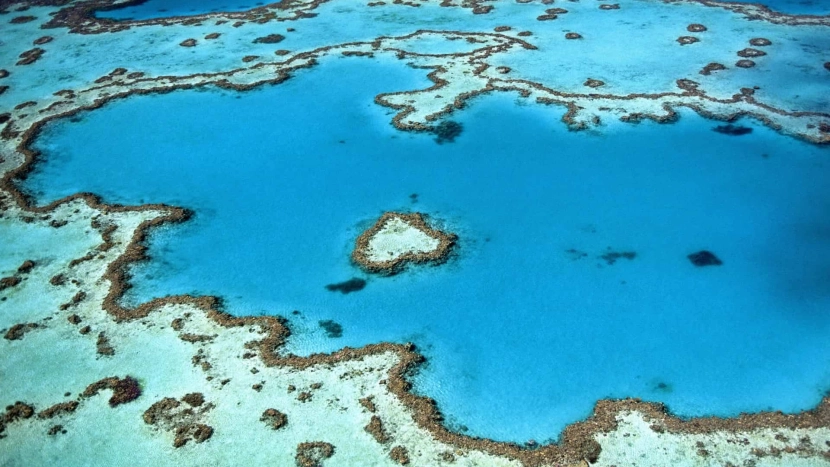 Une plongée inoubliable sur les côtes australiennes