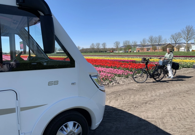 Voyager en Hollande au printemps en camping-car : une explosion de couleurs