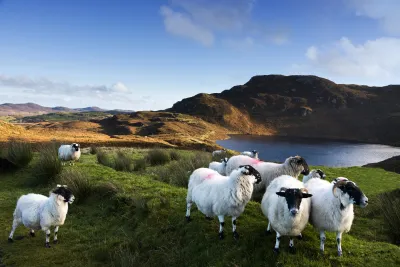 Irlande