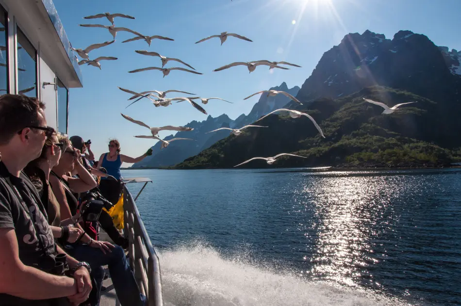 Fjord norvègien
