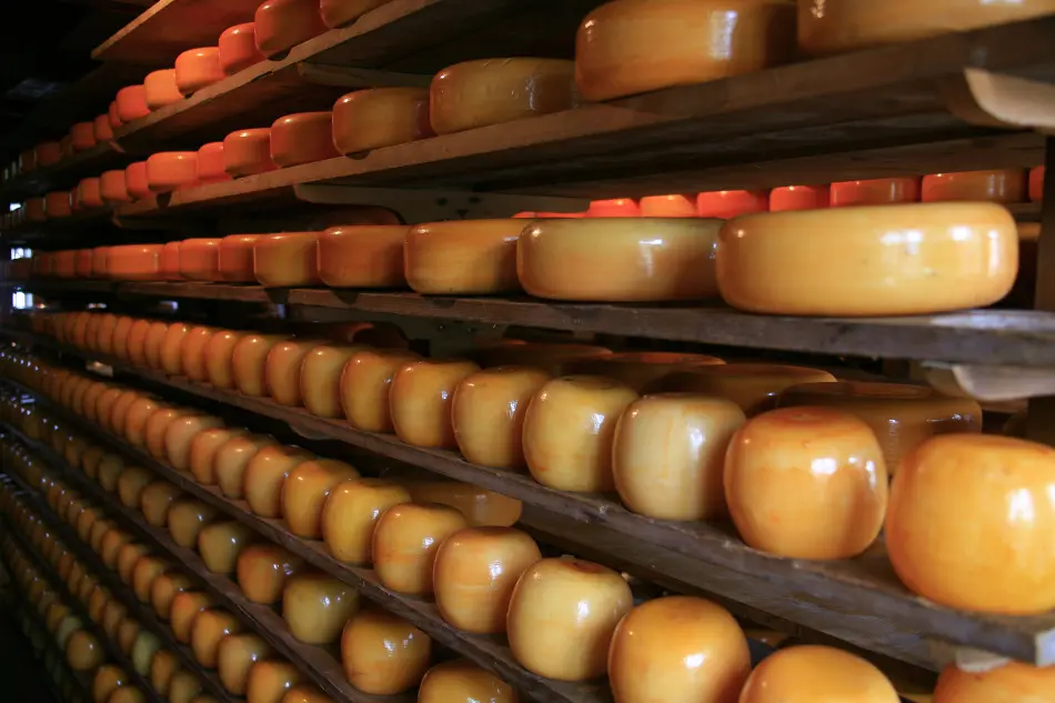 Edam