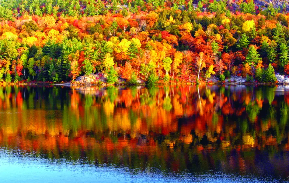 Province de Québec