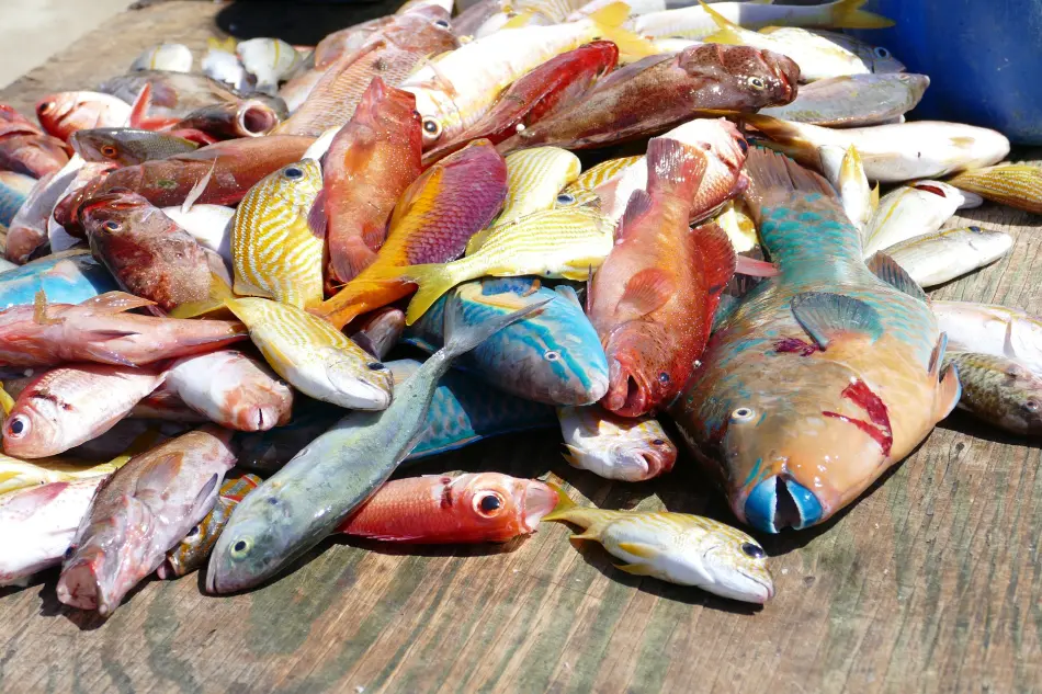 poissons