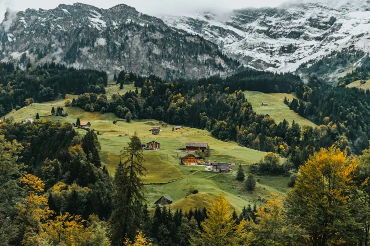 Suisse
