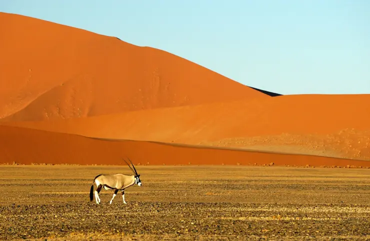 Namibie