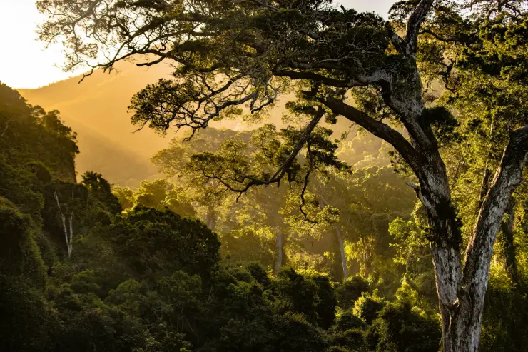Afrique