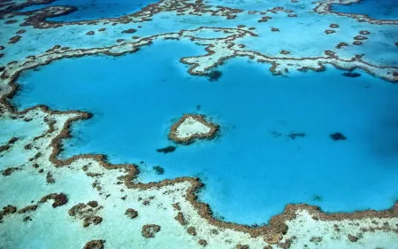 Une plongée inoubliable sur les côtes australiennes