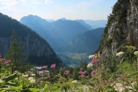 Visioconférence sur l'Autriche