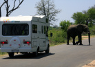 Afrique Australe