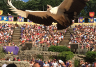 Puy du fou