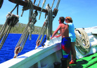 Excursion bateau en Croatie