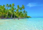 Plage et cocotiers en Polynésie