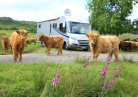 camping car ecosse