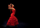 Flamenco