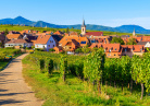 alsace