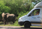 parc Kruger