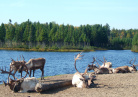 lac au Québec