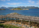 Henningsvaer
