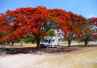 Afrique Australe
