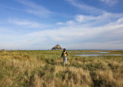 Prés salés de la Baie du Mont Saint Michel