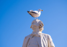 Statue de Flaubert à Trouville sur Mer
