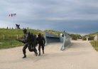 Utah Beach