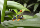 Costa Rica