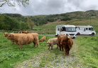 Ecosse 