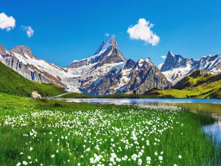 Suisse