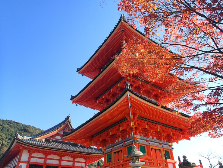 Circuit au Japon
