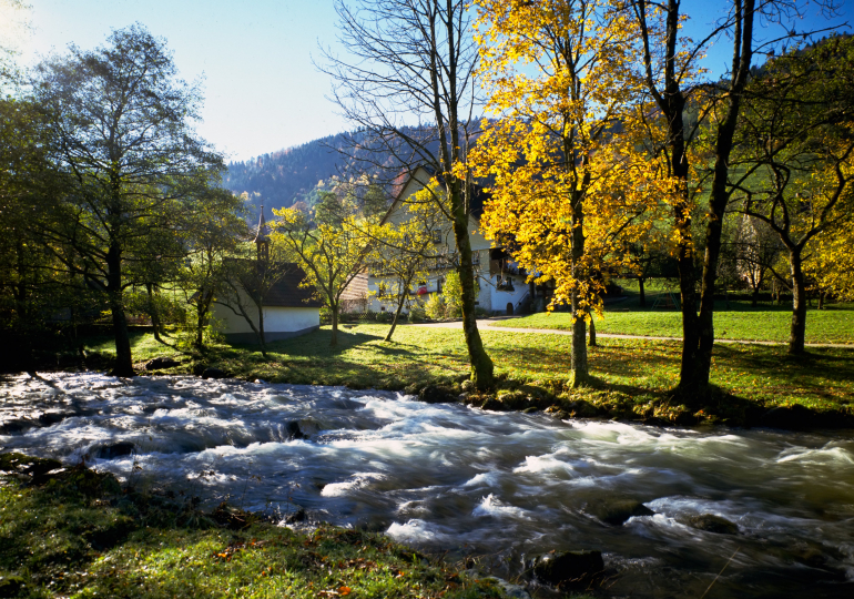Bavière rivière