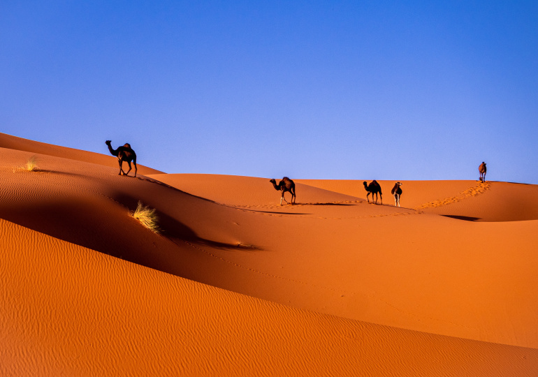 Desert au Maroc