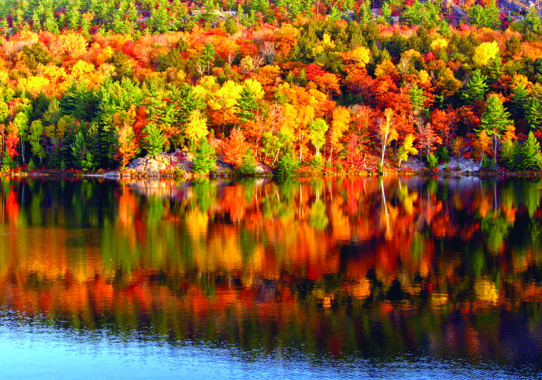 Province de Québec
