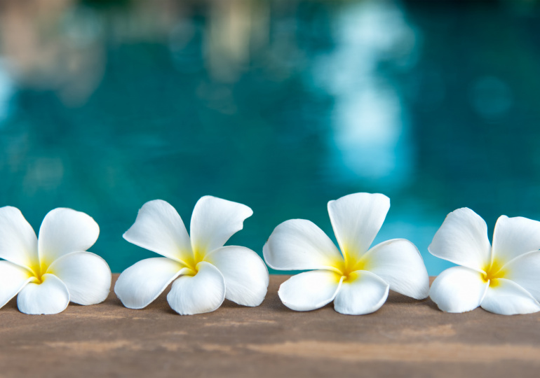 Fleur de tiaré
